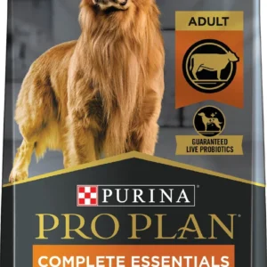 Dog Food plan for adult