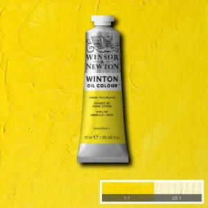 Winsor & Newton Winton Oil Colors